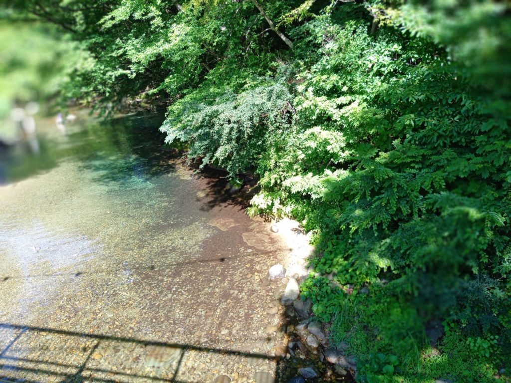 巨石吊り橋から撮影した木の俣渓谷。川遊びに最適な透明で穏やかな水面に橋の影が映っている