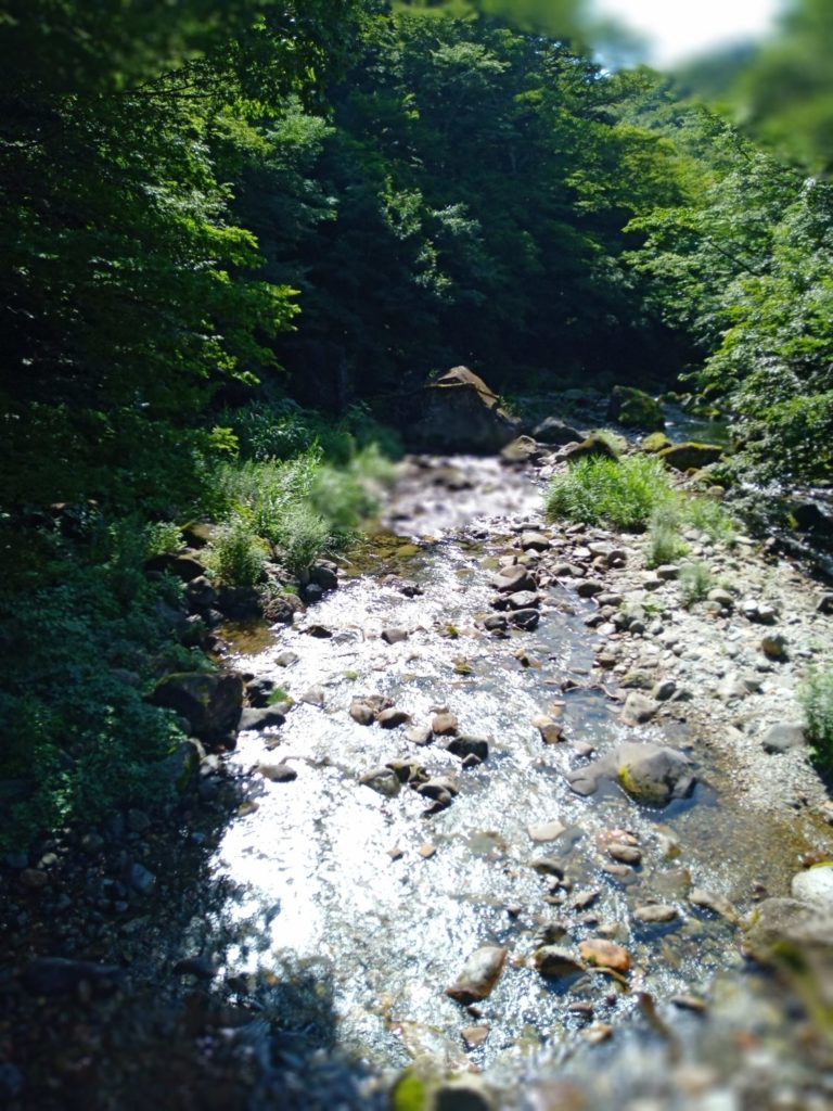 川遊びに最適な木の俣渓谷